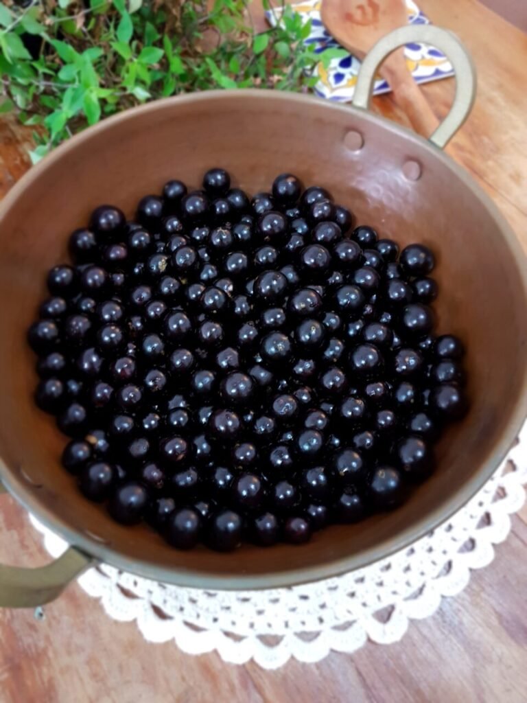 Jabuticaba-jelly-–-camila-and-cozinha.jpg